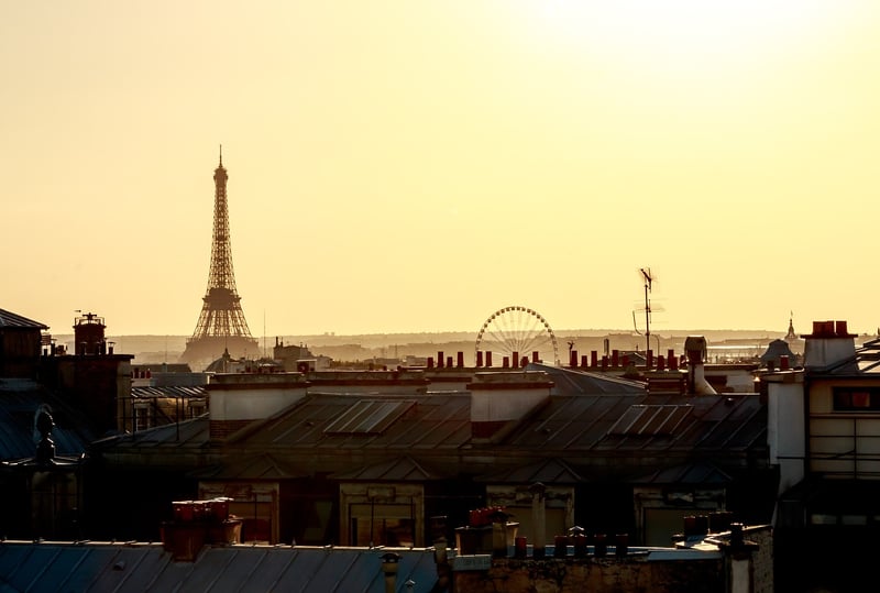 Rooftop Oasis